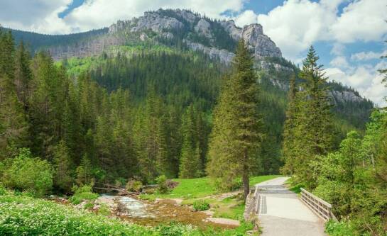 Zorganizowane wycieczki rowerowe po okolicznych szlakach w Borach Tucholskich