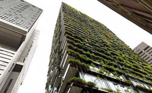 Mieszkania z lokalami usługowymi: jak wpływają na społeczność lokalną na Bielawach?