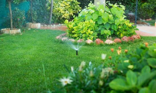 Porównanie różnych typów systemów nawadniania trawników – który wybrać?