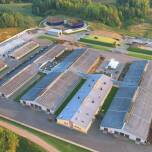 Zastosowanie świetlików dachowych w budynkach inwentarskich - korzyści dla hodowców