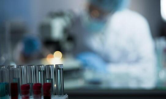 Analizy laboratoryjne dla zwierząt – co oferuje?