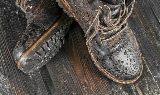 Obuwie zawodowe a ochrona przed urazami mechanicznymi - co warto wiedzieć?