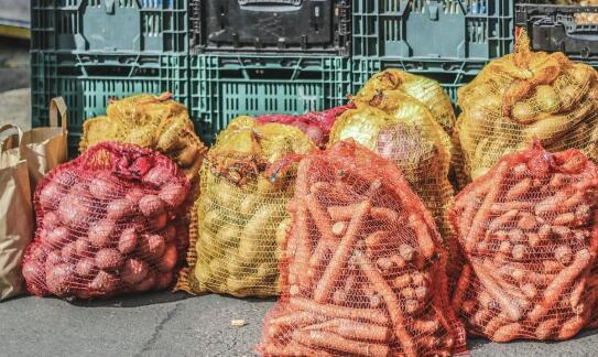 Warzywa korzeniowe w daniach głównych – propozycje dla restauracji