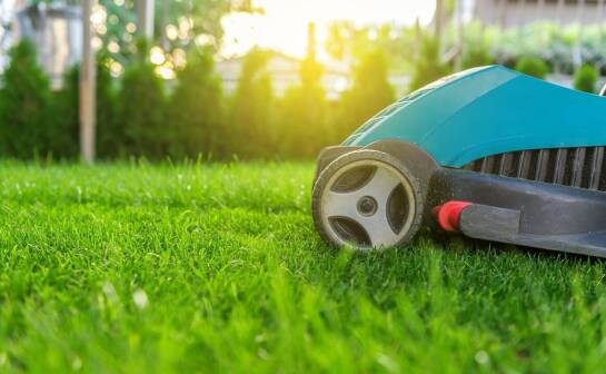 Profesjonalne porady dotyczące stosowania nawozu letniego w upalne dni