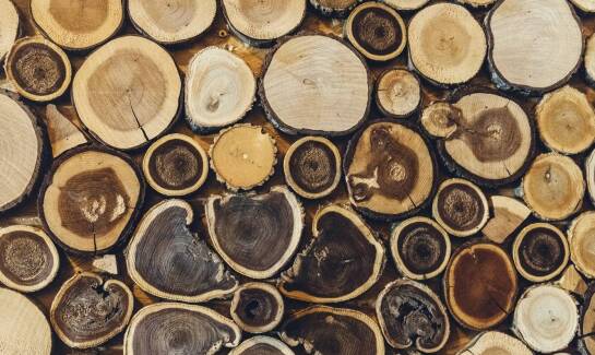 Gdzie najlepiej wykorzystać drewno rozpalkowe sosnowe w codziennym użytkowaniu?