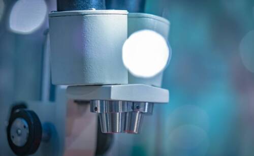 Najczęstsze zastosowania cytologii w leczniu zwierząt domowych