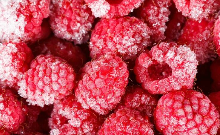 Malina husaria – charakterystyka i zastosowania w ogrodnictwie