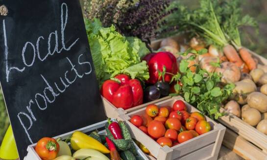 Wybór cateringu na imprezy okolicznościowe w agroturystyce Miastko