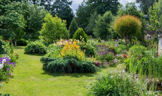 Poradnik wyboru iglastych krzewów ozdobnych do aranżacji nowoczesnego ogrodu