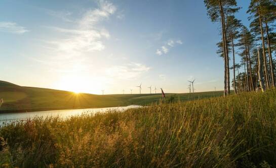 Ile energii odnawialnej w Polsce pochodzi z różnych źródeł?