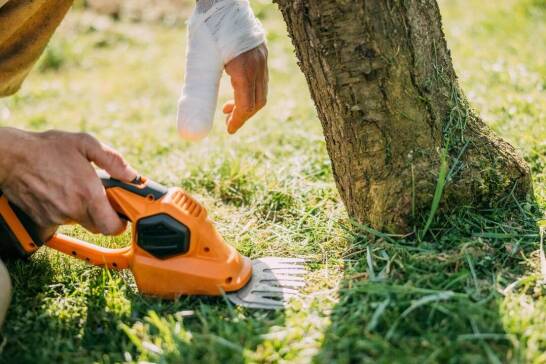 Podkrzesywarka akumulatorowa – idealne narzędzie do pielęgnacji drzew w ogrodzie