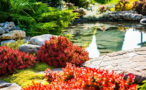 Wpływ lokalnych roślin na projektowanie ogrodów przez usługi ogrodnicze