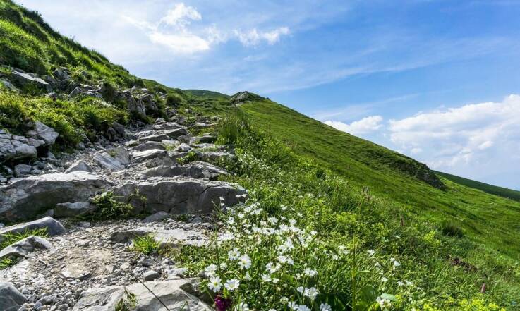 Trekking z przewodnikiem – dlaczego warto skorzystać z jego doświadczenia?