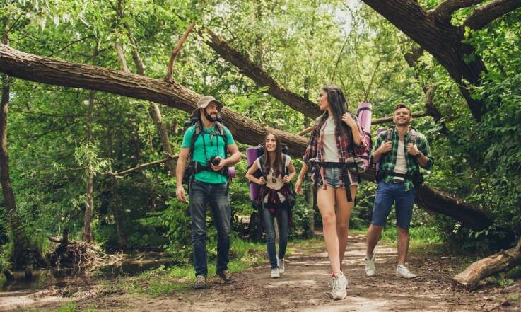 Jak trekkingi tematyczne dla dorosłych wzbogacają wiedzę o przyrodzie?
