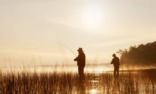 Bliskie spotkania z dzikimi zwierzętami: Safari w Botswanie