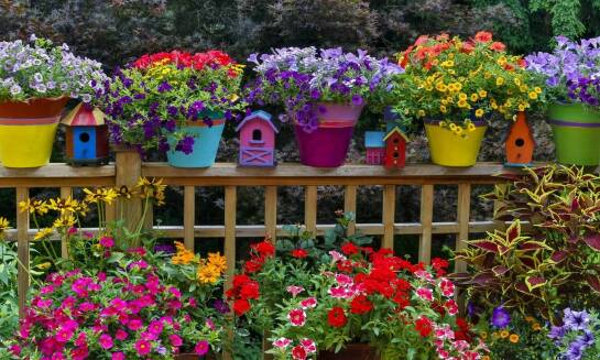 Jak dobrać kolory kwiatów na ściance do zdjęć, aby pasowały do tematu imprezy?