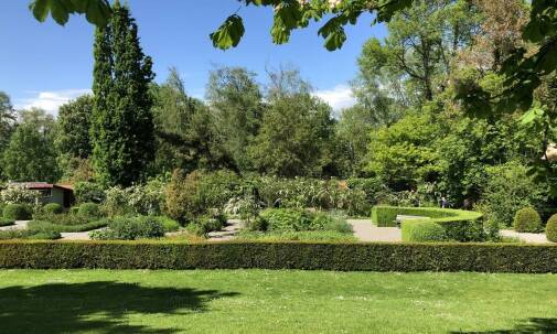 Zasady zakładania nowych terenów zielonych w przestrzeniach miejskich