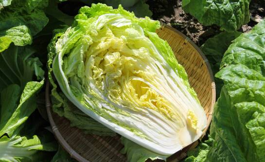 Surówka jak z chińskiej restauracji – smak, który chcesz odtworzyć w domu