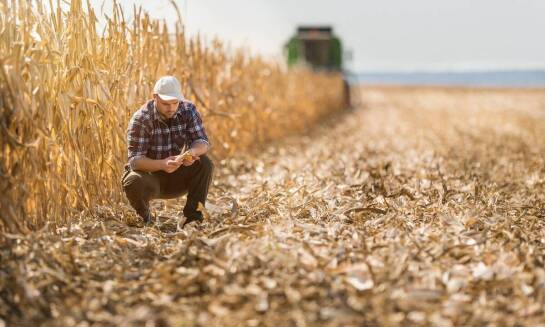 Analiza gleby jako podstawa dla zmiennego dawkowania nawozów