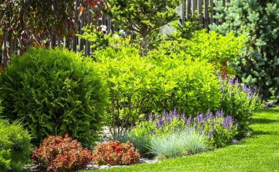 Automatyczne nawadnianie jako sposób na tworzenie ekologicznych ogrodów