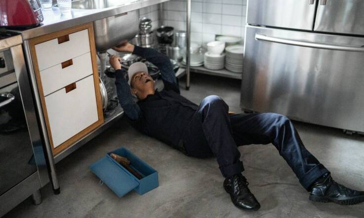 Jakie są najczęstsze błędy przy zwalczaniu gryzoni?