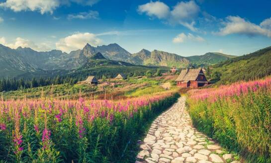 Wisła apartamenty centrum - doskonałe rozwiązanie na dłuższy pobyt
