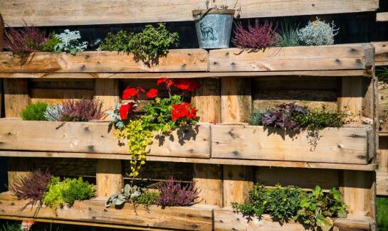 Jakie aspekty ekologiczne są brane pod uwagę przy zakładaniu ogrodów?