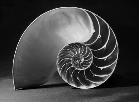 Co to jest złoty podział i jak go wykorzystać w twórczości?