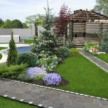 Jak specjaliści podchodzą do sadzenia drzew i krzewów w różnych warunkach glebowych?