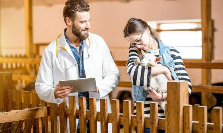 Dlaczego warto inwestować w profilaktykę zdrowotną zwierząt hodowlanych