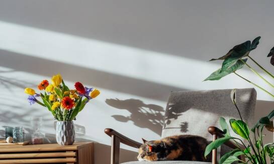 Co warto wiedzieć o personelu opiekującym się kotami w warszawskim hotelu?