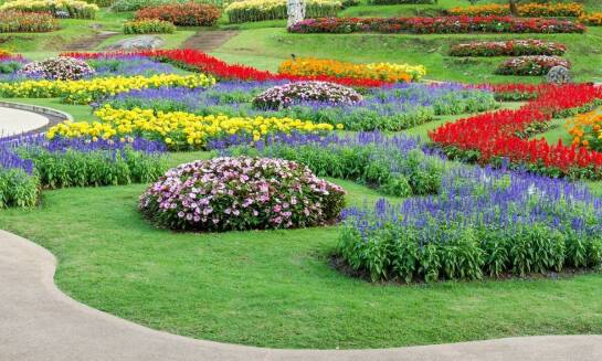 Różnorodność bylin w szkółce roślin i ich zastosowanie w ogrodzie