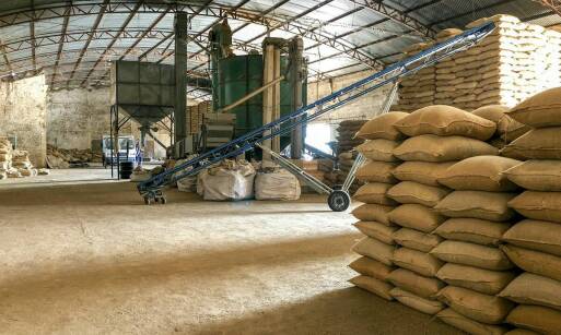 Jak brykieciarki do trocin wspierają zrównoważony rozwój przemysłu?