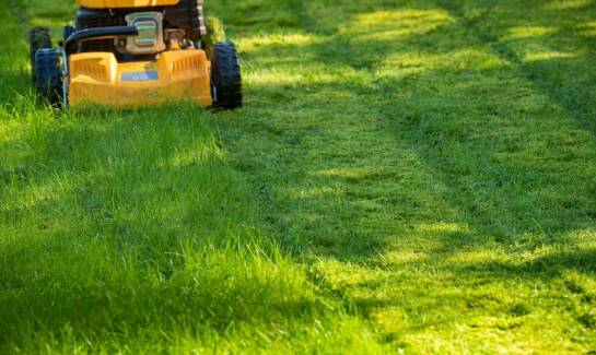 Koszenie trawników: Kluczowe aspekty utrzymania terenów zielonych