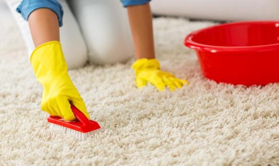 Pranie dywanów naturalnych – co wyróżnia naszą usługę?