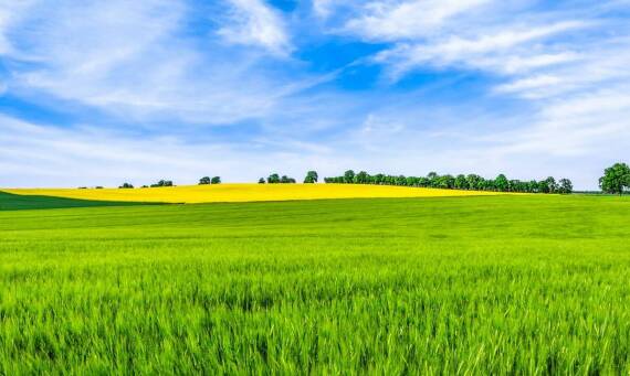 Jak ekologiczne środki dla rolnictwa wpływają na ochronę bioróżnorodności?