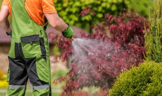 Jakie akcesoria do pielęgnacji trawnika są niezbędne dla jego zdrowego wzrostu?