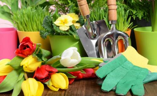 Porównanie kosztów: wynajem vs zakup sprzętu ogrodowego – co się bardziej opłaca?