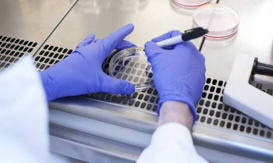 Zalety jednorazowych szalek Petriego w laboratoriach