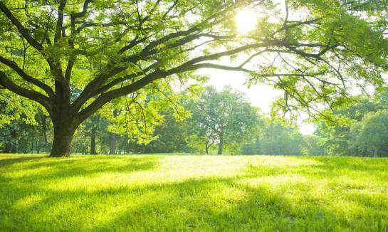 Tereny zielone i siłownia zewnętrzna – aktywności dostępne w sanatorium
