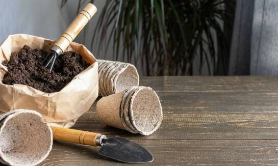 Poradnik: jak skutecznie zamawiać nasiona online?