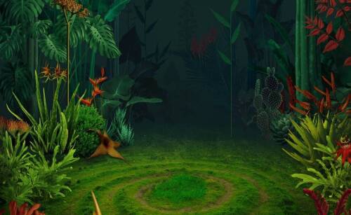 Co warto wiedzieć o hodowli płazów w domu?