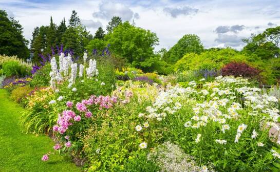 Ekologiczne rozwiązania w ogrodnictwie: co oferuje centrum ogrodnicze?