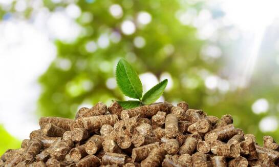 Trendy w wykorzystaniu pelletu w sektorze budowlanym