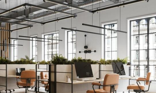 Estetyka i funkcjonalność zielonych aranżacji w przestrzeniach coworkingowych