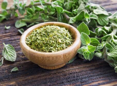Jak zrobić olejek z oregano w domu? Prosty przepis na naturalny antybiotyk.