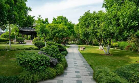 Aranżacja ogrodów: jak dostosować projekt do lokalnego klimatu