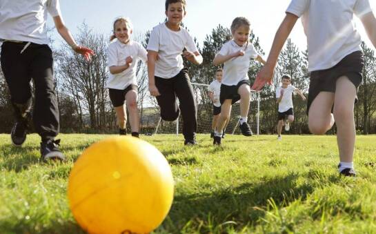 Jakie zajęcia sportowe można zorganizować podczas zielonej szkoły?