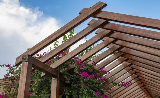 Wybór kantówek drewnianych – na co zwrócić uwagę przy zakupie?