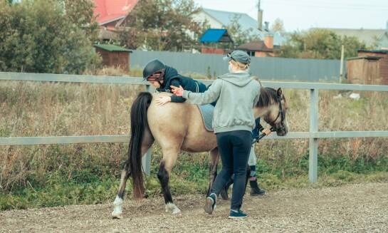 Codzienna opieka w pensjonacie dla koni – co oferujemy?